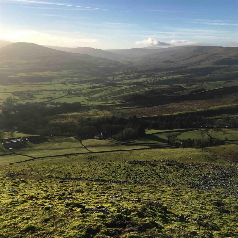 Guided Walk: Hawes to Shaw Gill